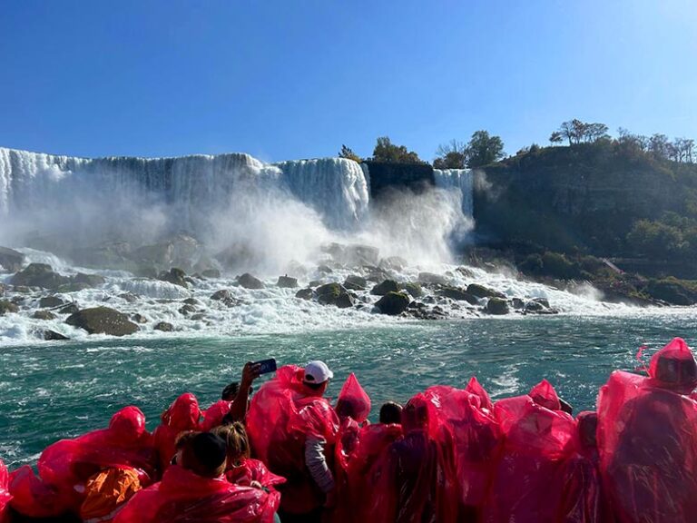 Hornblower Cruise