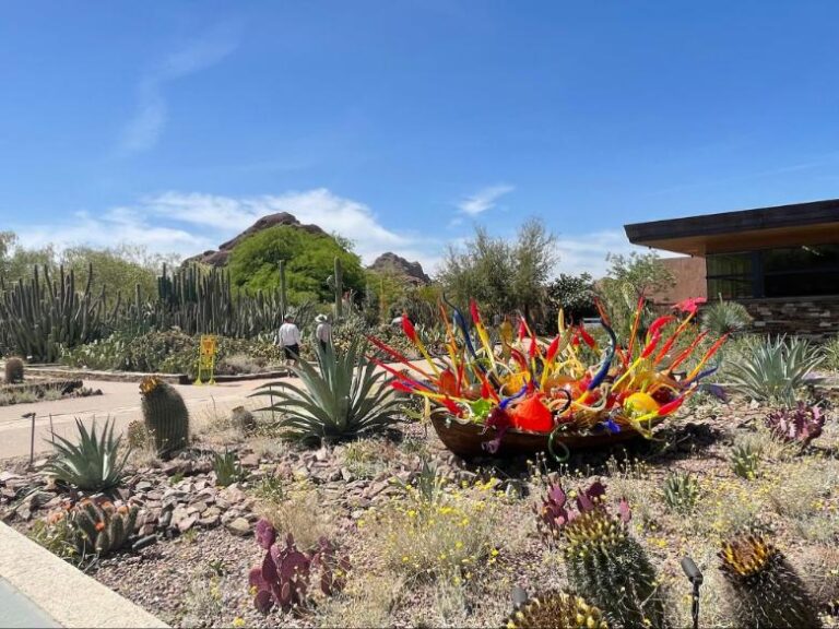 Desert Botanical Garden