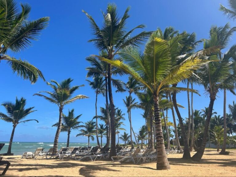 Playa Palmera beach was surprisingly quiet!