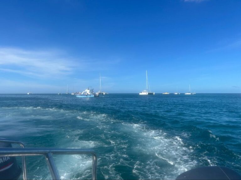 Heading to the catamaran