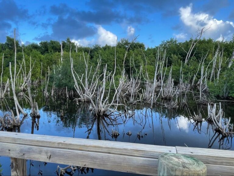 Serene path to Macao's hidden gem