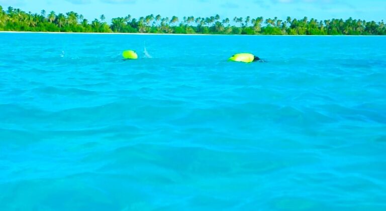 Making a splash in the natural pool