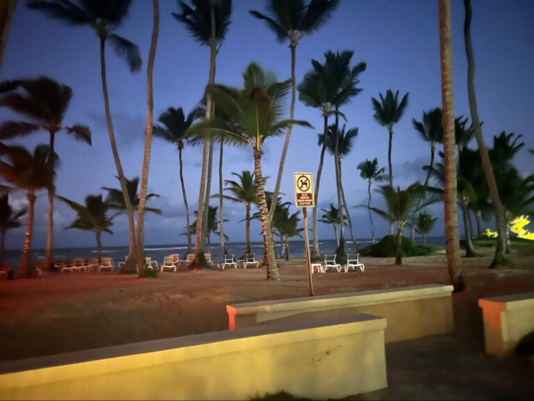 Golden hour at the beach