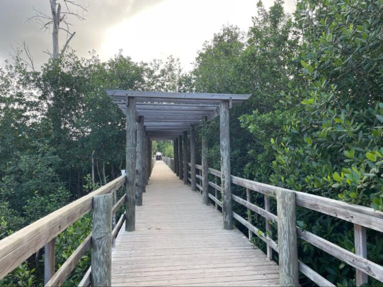 Serene path to Macao's hidden gem