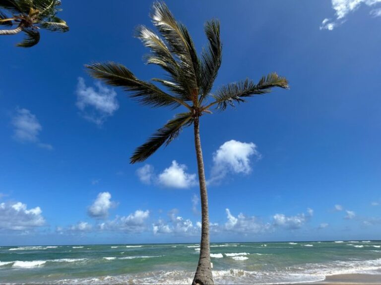 Punta Cana 5-Day Itinerary - Serenity in Paradise