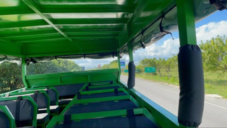Riding in Style in the Safari Bus