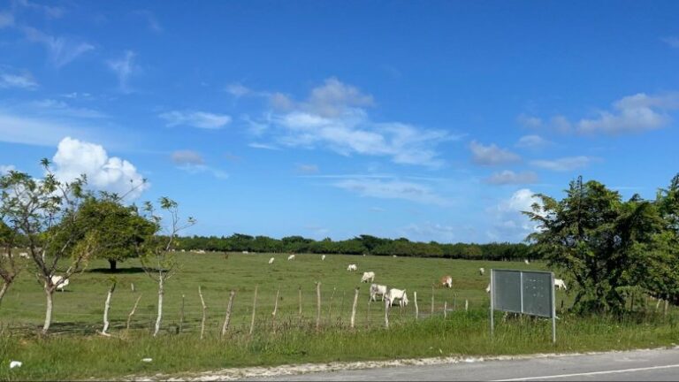 A lovely countryside view from the road