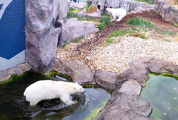 Schönbrunn Zoo